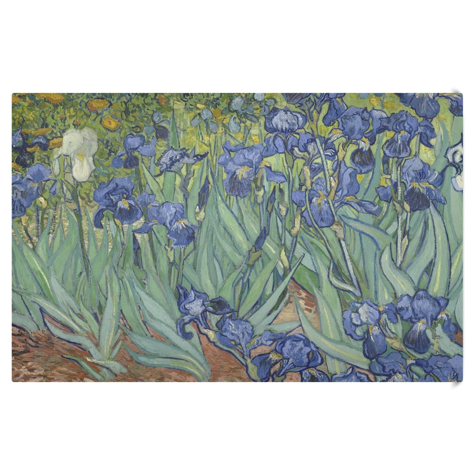 Van Gogh Irises Printed Reusable Kitchen Towels Set - 1 Pack Absorbent Fast-Drying Dish Cloths (28x18 Inches) for Cooking, Cleaning & Bar Use - Eco-Friendly Cotton Tea Towels & Hand Towels for Home & Restaurant