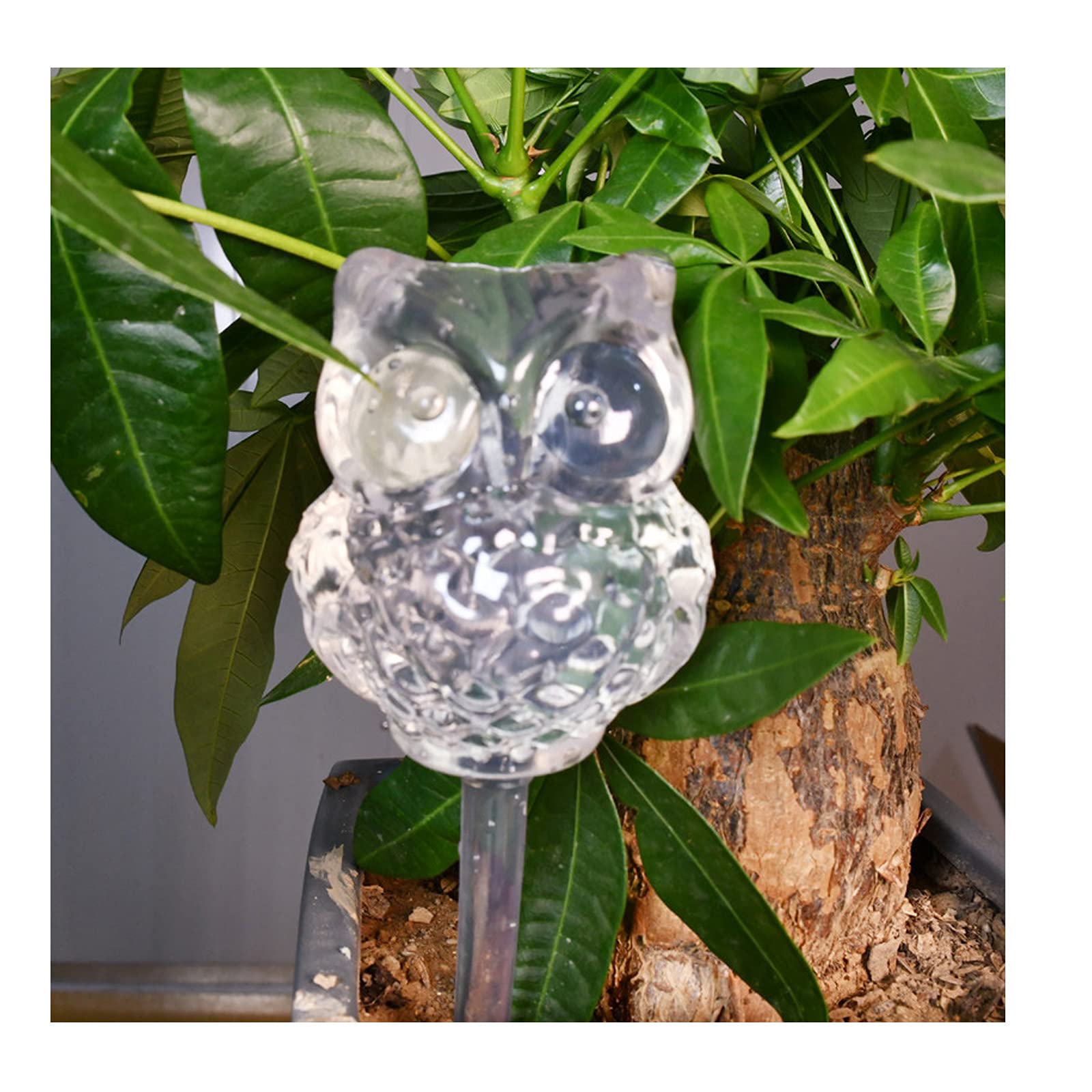 Automatic Self-Watering Plant Pot for House & Garden - Smart Indoor/Outdoor Flower Pot with Water Reservoir - Perfect for Vacation, Office Plants & Low-Maintenance Gardening