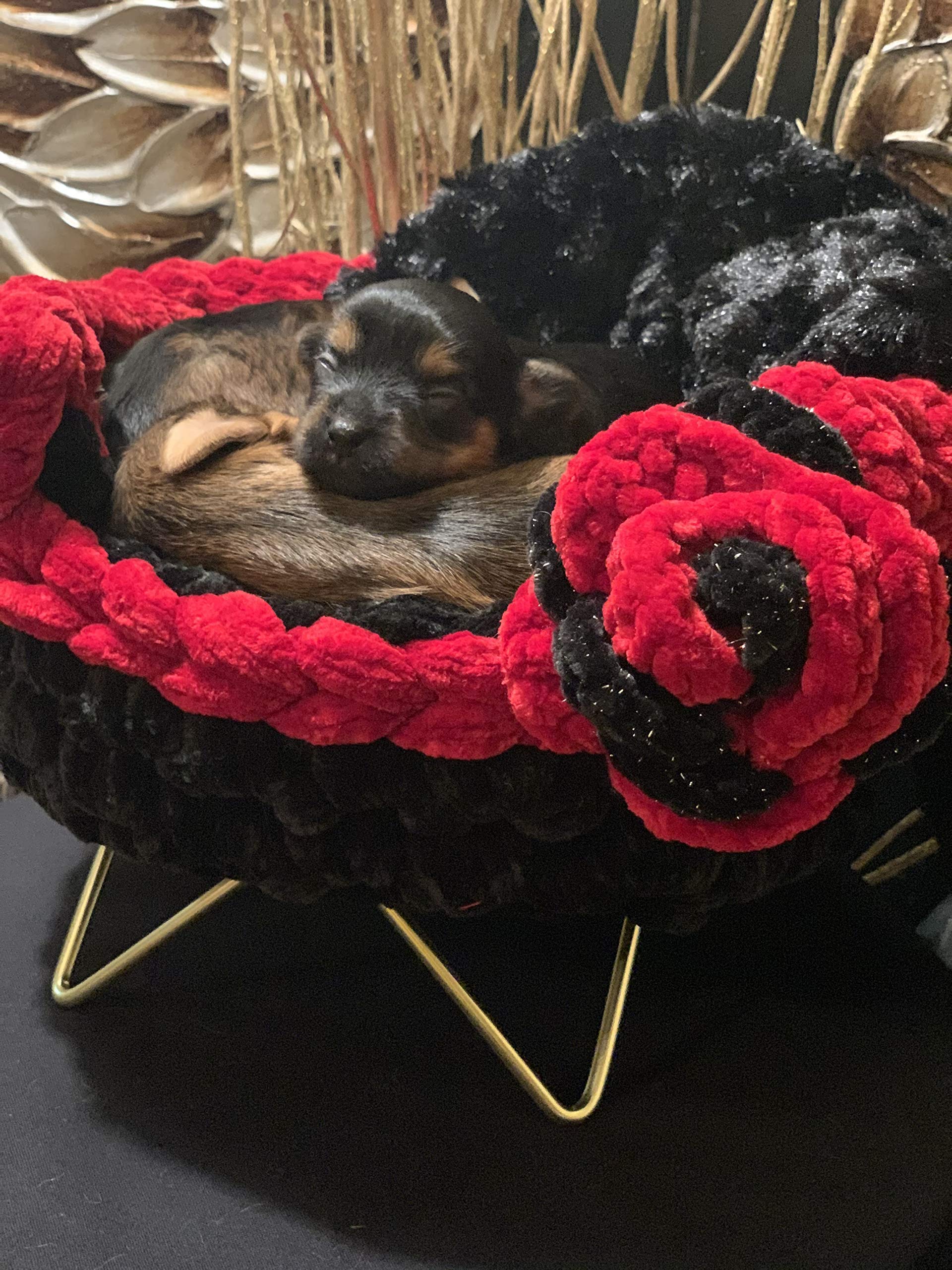 LuxuryPup Crochet Pet Bed - Soft & Cozy Handmade Dog Bed for Small, Medium & Large Dogs - Perfect for Indoor & Outdoor Use, Pet Crate & Travel