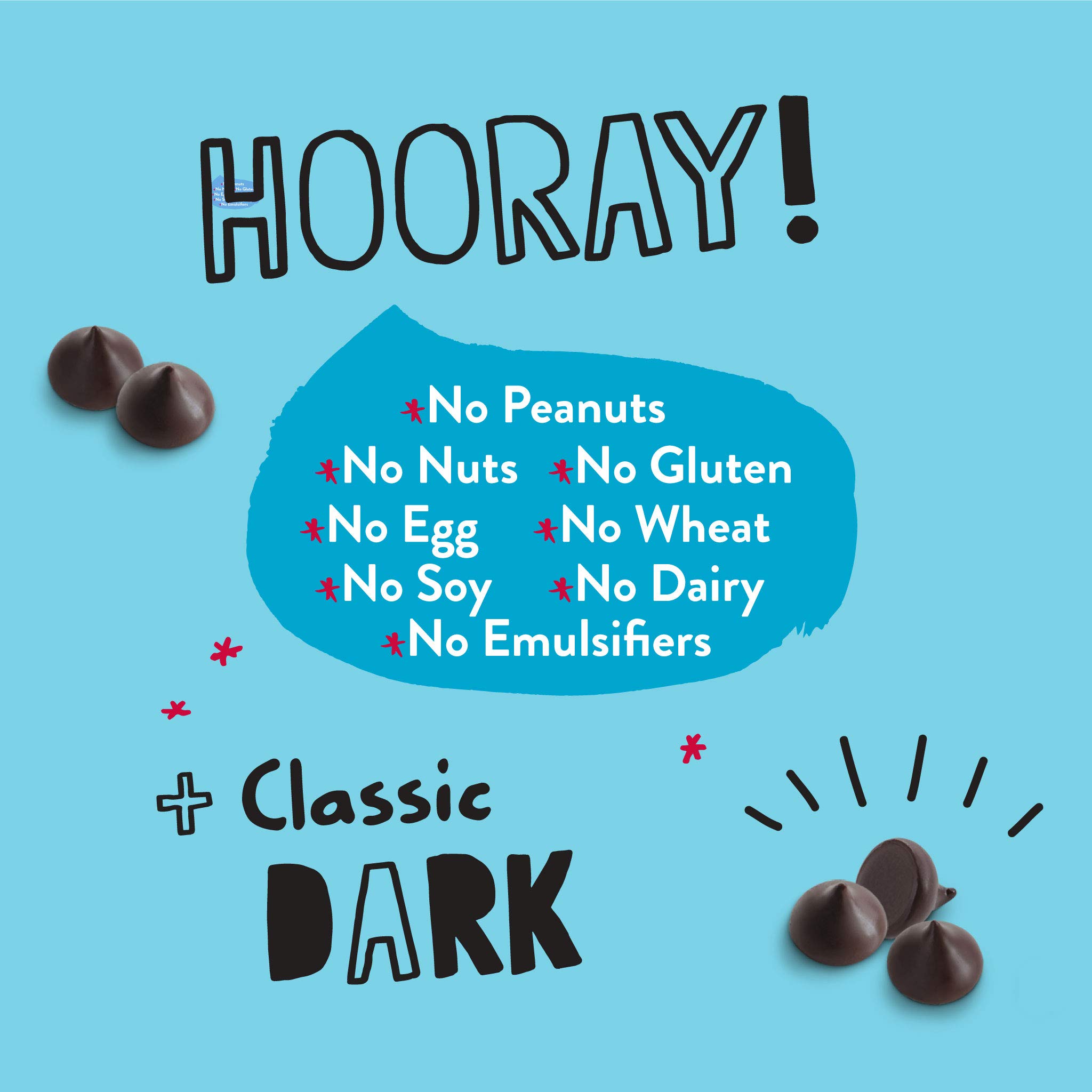Organic Bitter Sweet Chocolate Chips 70% Cacao - Pascha Bulk 10lb Bag for Baking, Desserts & Healthy Snacks