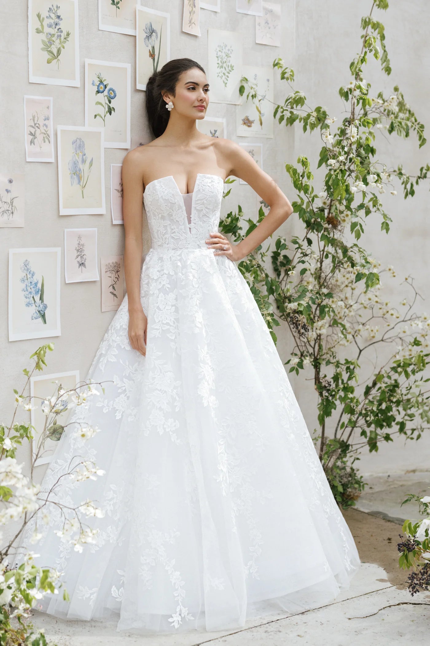 Anne Barge Fernbank Wedding Dress Size 14 - Elegant A-Line Gown for Brides, Perfect for Church, Beach, and Garden Ceremonies
