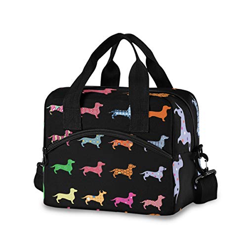 Dachshund Dogs
