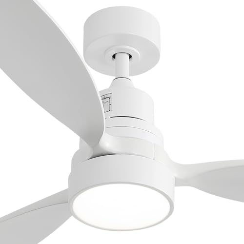 1-White / White