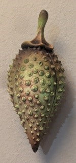 Andy Rogers Ceramics - Medium Wall Seed Planter #AR45 | Handmade Ceramic Pot for Indoor Plants, Succulents & Herb Garden | Perfect for Home Decor, Kitchen Windowsill & Office Spaces