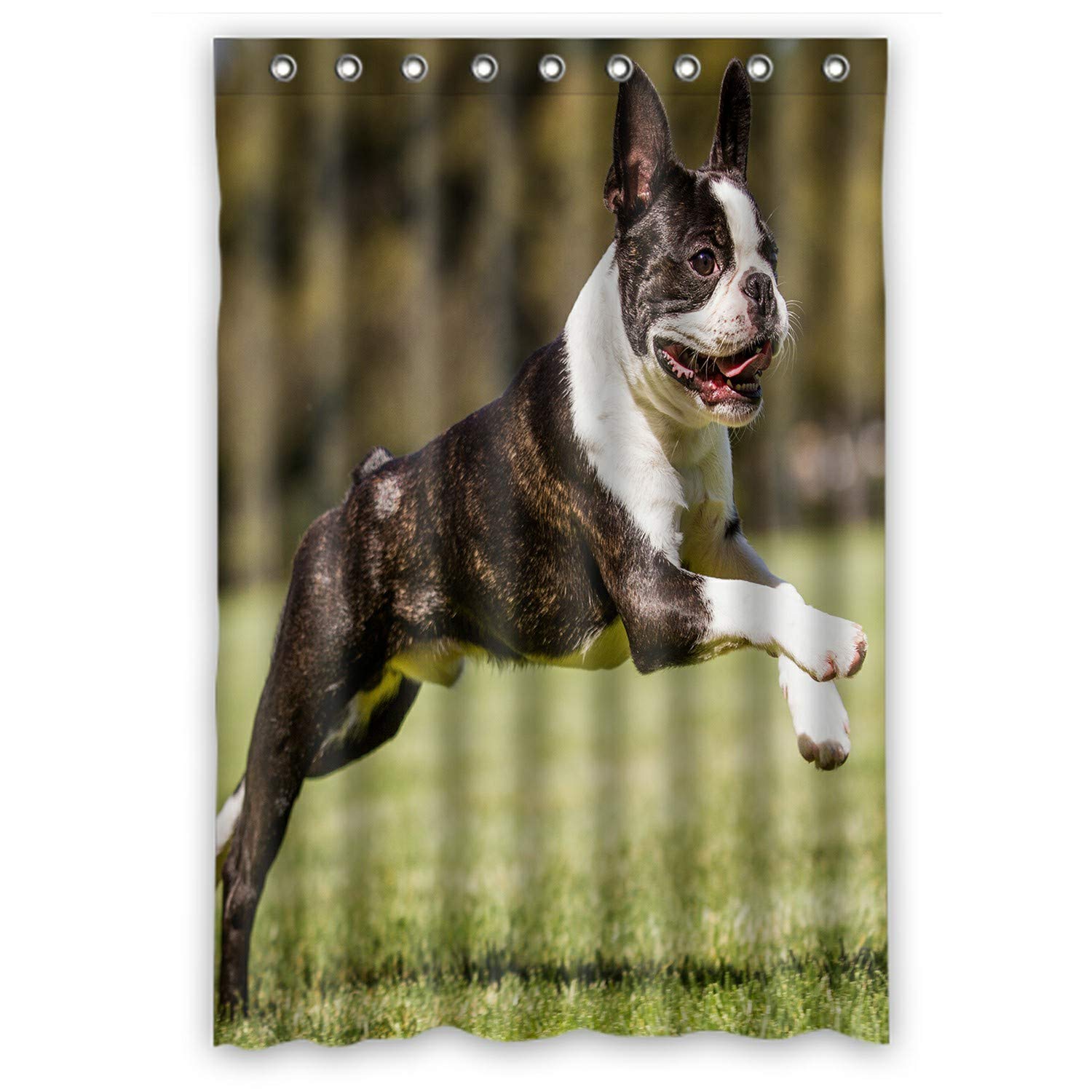 Boston Terrier Running Dog Shower Curtain Set with Hooks - 48x72 Inch Waterproof Bathroom Decor for Pet Lovers - Perfect for Dog-Themed Bathrooms & Animal Print Home Decor
