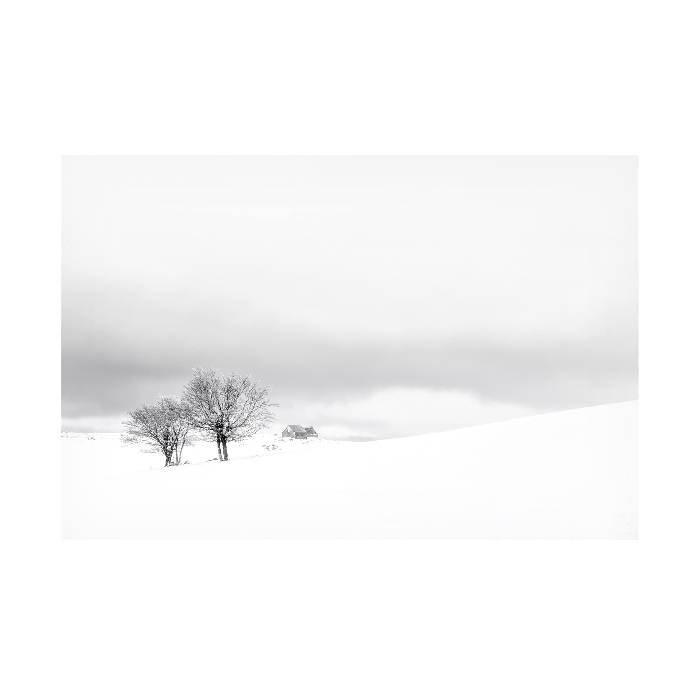 Trademark Fine Art 'Silence' Canvas Wall Art by Dominik Garcia - Modern Abstract Painting for Living Room, Bedroom & Office Decor