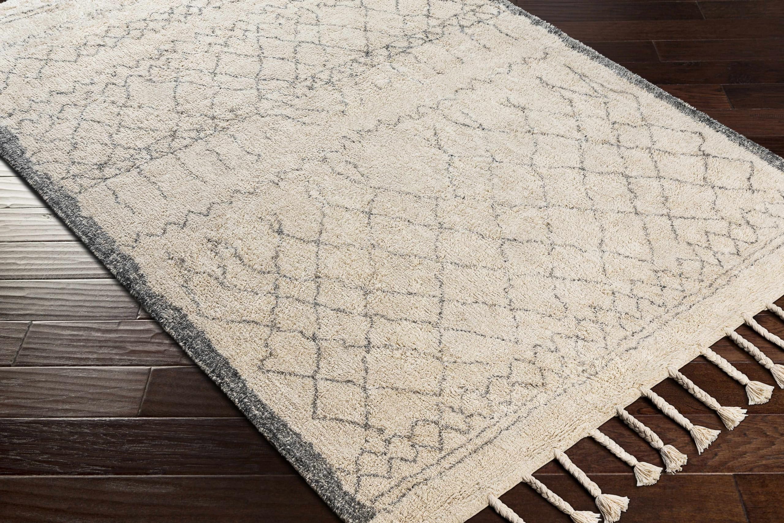 Bohemian Transitional Area Rug for Living Room & Bedroom - Gray & Cream 2'6