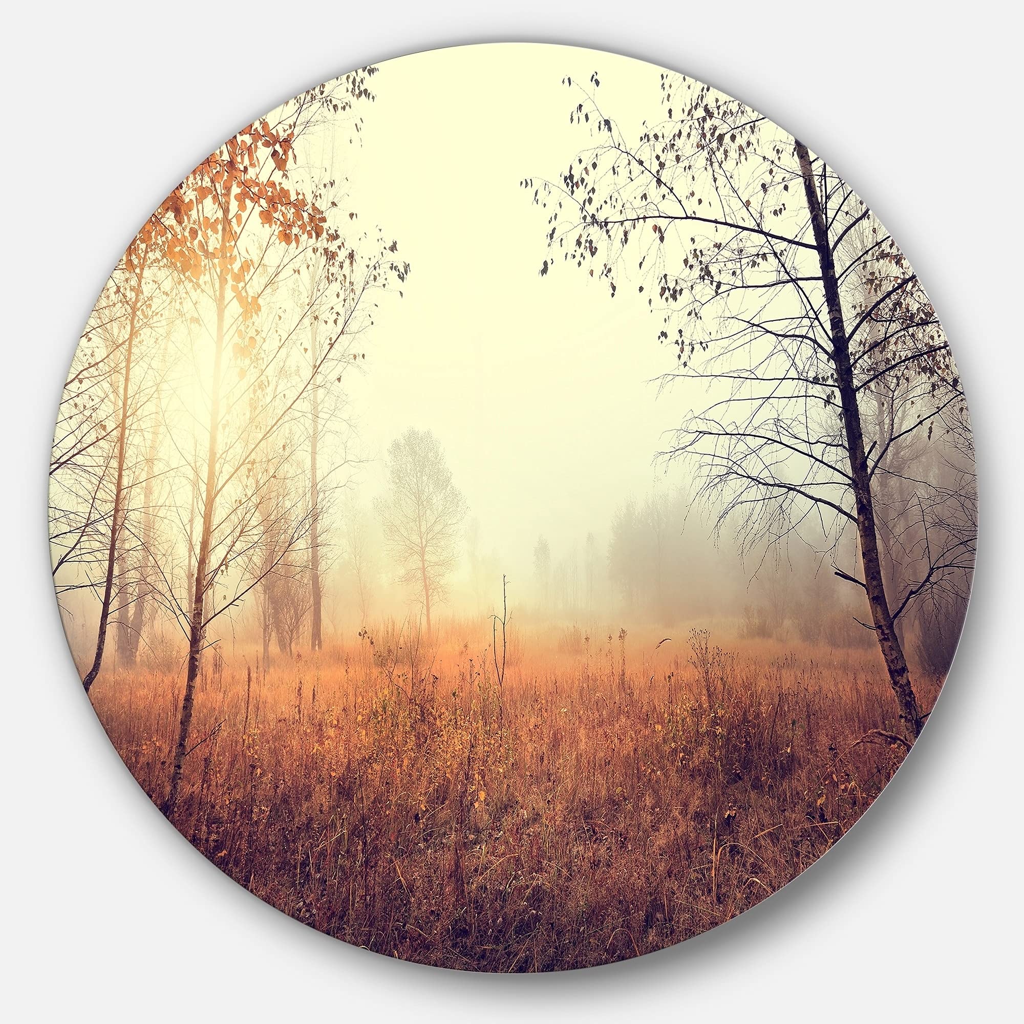 Charming Rural Field in Morning - 29 Inch Round Metal Wall Art Landscape Decor for Living Room, Bedroom & Office | DesignArt Home Décor