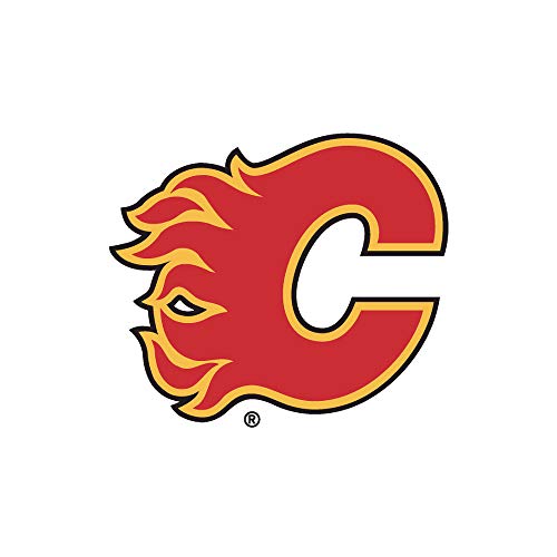 Calgary flames