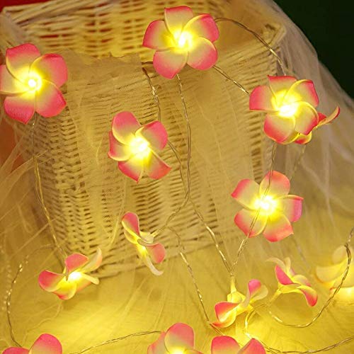 20 LED Hawaiian Plumeria Flower String Lights - Battery Powered Fairy Starry Lights for Christmas, Party, Home, Wedding & Beach Decor (Pink) | Indoor & Outdoor Decorative Lighting for Garden, Patio and Special Events