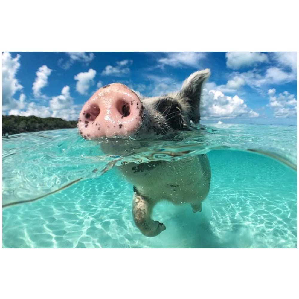 Funny Underwater Pig Canvas Wall Art - Modern Animal Print Painting for Living Room, Dining Room, Bedroom & Bathroom Decor - Unframed 8x12 Inch Home Wall Decor | Perfect for Gifts, Kids Rooms & Unique Wall Art Collections