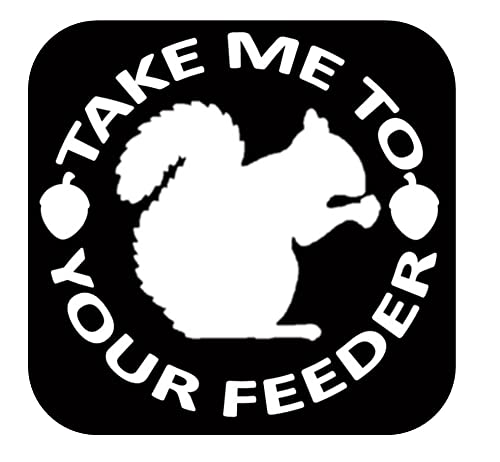 Squirrel Feeder Vinyl Decal Sticker - 6