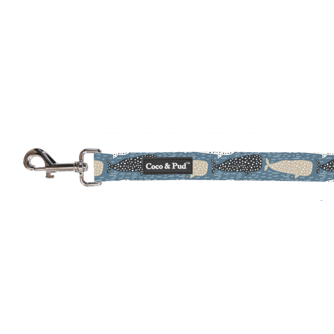 Whale of a Time Cat Lead - Adjustable Pet Leash for Cats, Soft & Comfortable Harness with Reflective Stripes - Perfect for Outdoor Walks, Park Adventures & Travel Safety