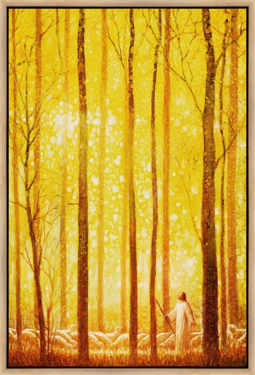 Premium Wonder Gallery Wrap Canvas - High-Quality Stretched Canvas for Wall Art, Home Decor & Office Display