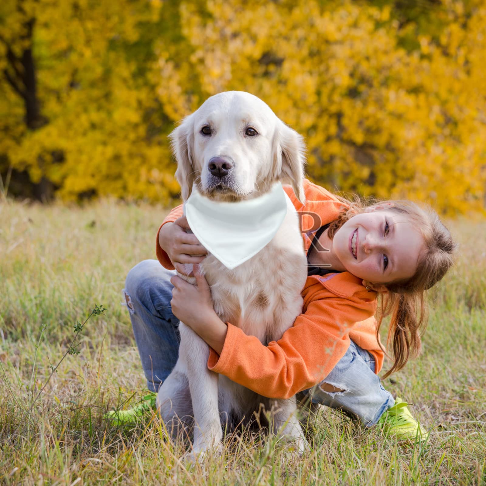 Adjustable Dog Bandana with Quick Release Buckle - 2 Pack Double-Sided Blank Pet Bandanas for Medium & Large Dogs - D-Ring Design for Secure Fit - Perfect for Daily Walks, Grooming & Pet Photos (White, Large)