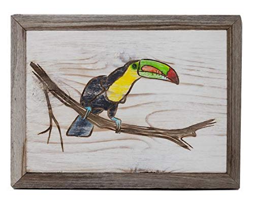 Painted Toucan Bird Barnwood Frames - Wall Decor for Tropical Theme