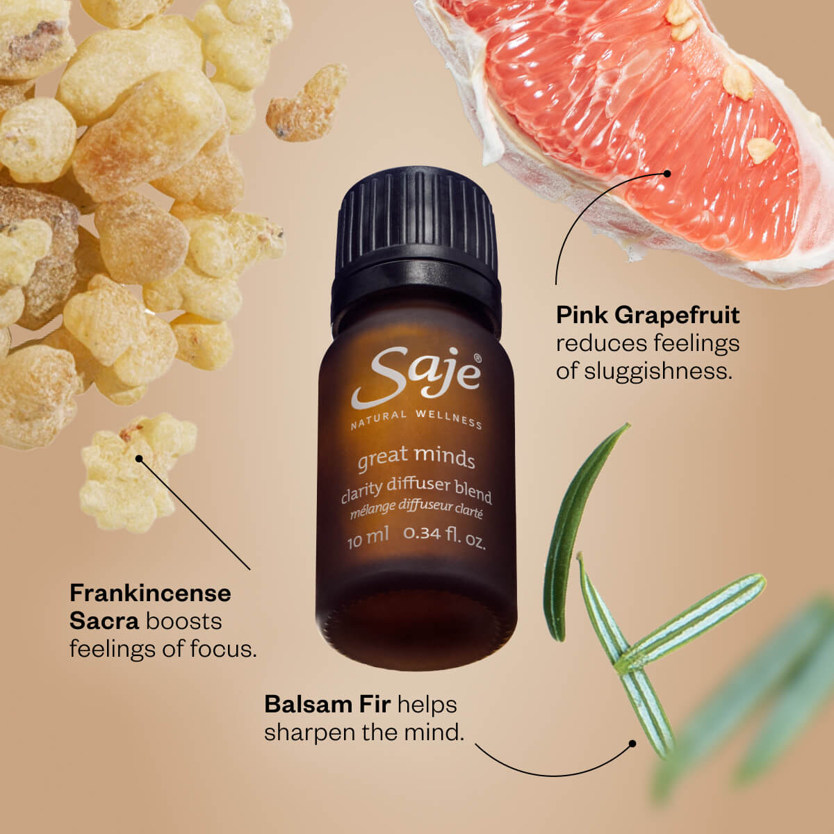 Great Minds Essential Oil Diffuser Blend - Relaxing Aromatherapy for Focus & Stress Relief - Perfect for Home, Office & Meditation Spaces