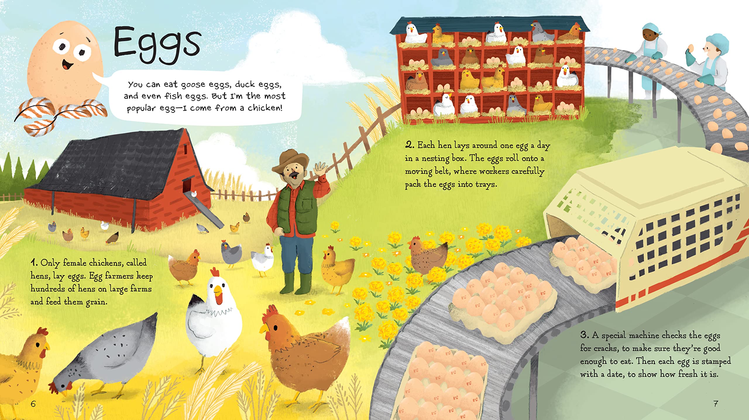 Where Does My Food Come From? | The Story of How Your Favorite Food Is Made | Learn About Food Origins & Production for Kids & Adults