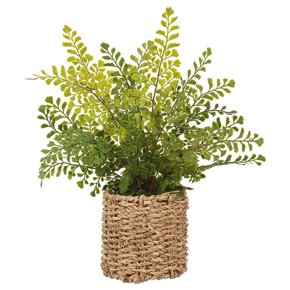 15 Pack Artificial Maidenhair Fern Silk Plants in Decorative Basket - Realistic Green Faux Greenery for Home Decor, Office, Wedding Centerpieces & Indoor Plant Displays