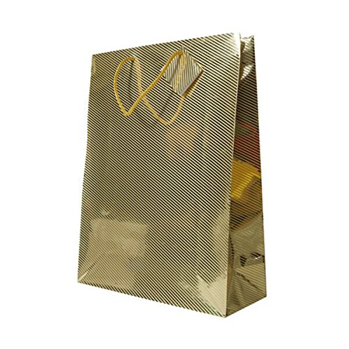 Premium JAM Paper Gift Bags with Rope Handles - Large Diagonal Pinstripe Shopping Bags (13