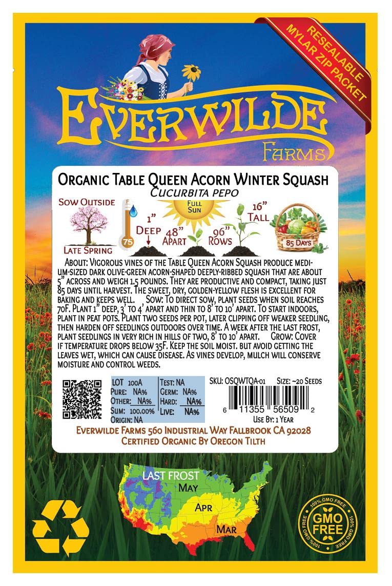Organic Table Queen Acorn Winter Squash Seeds - 20 Count Gold Vault Packet by Everwilde Farms - Perfect for Home Gardening, Fall Harvest & Healthy Cooking