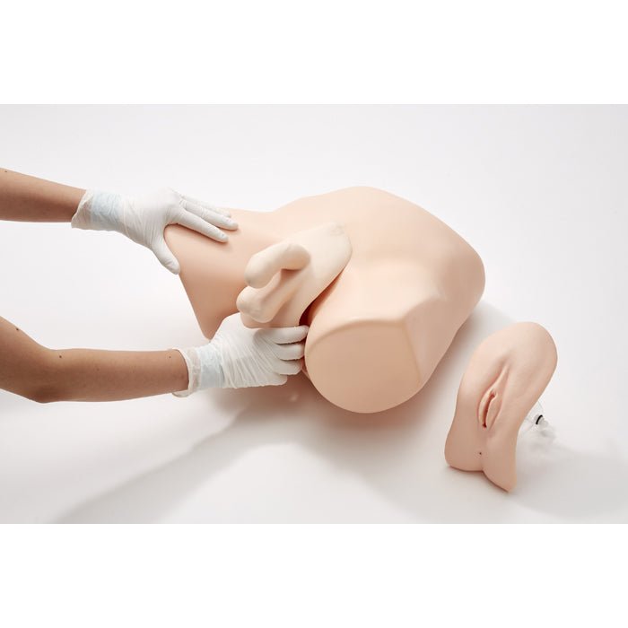 Female Catheterization & Enema Simulator - Medical Training Model for Nursing Students & Healthcare Professionals - Practice Urinary Catheter Insertion & Enema Procedures