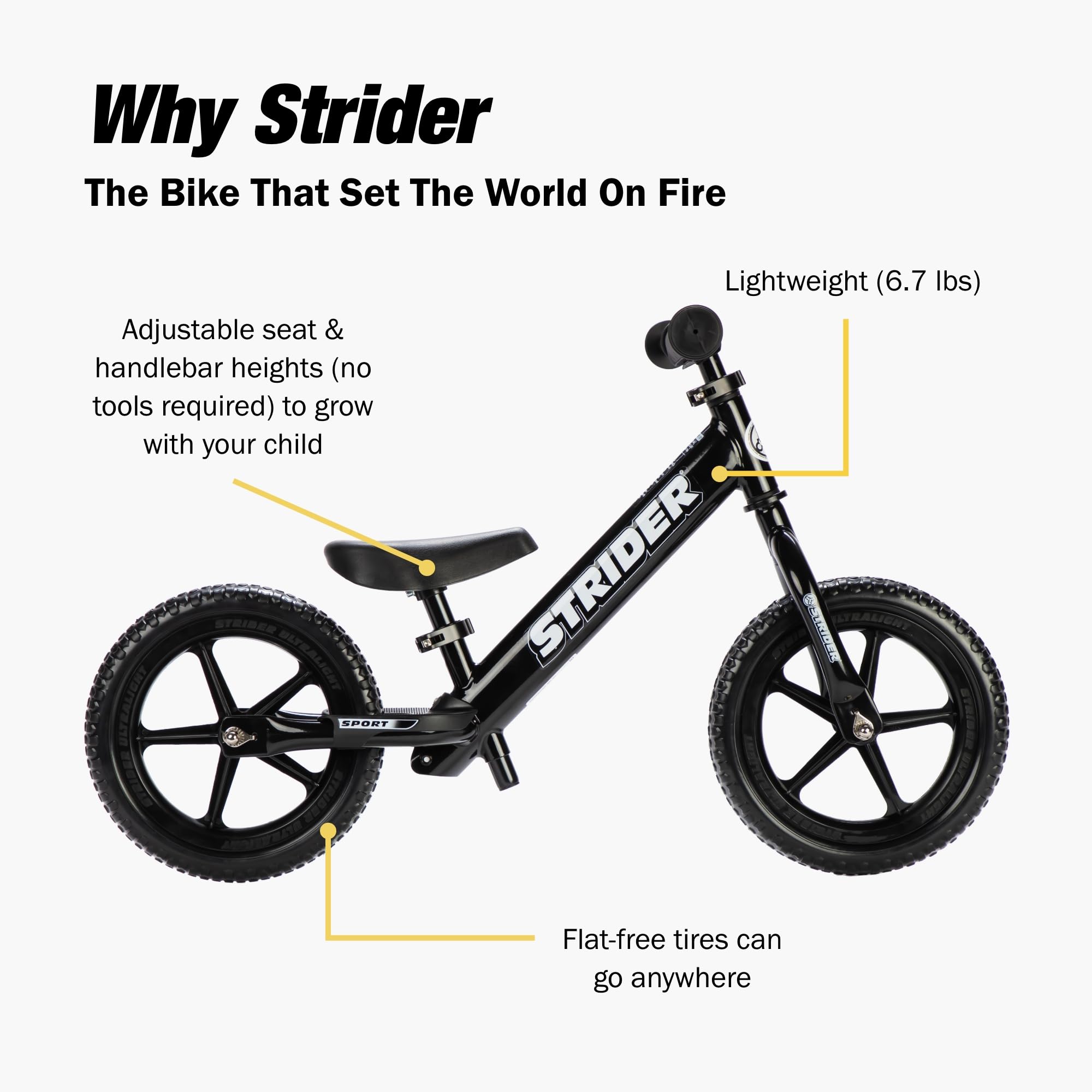Strider 12