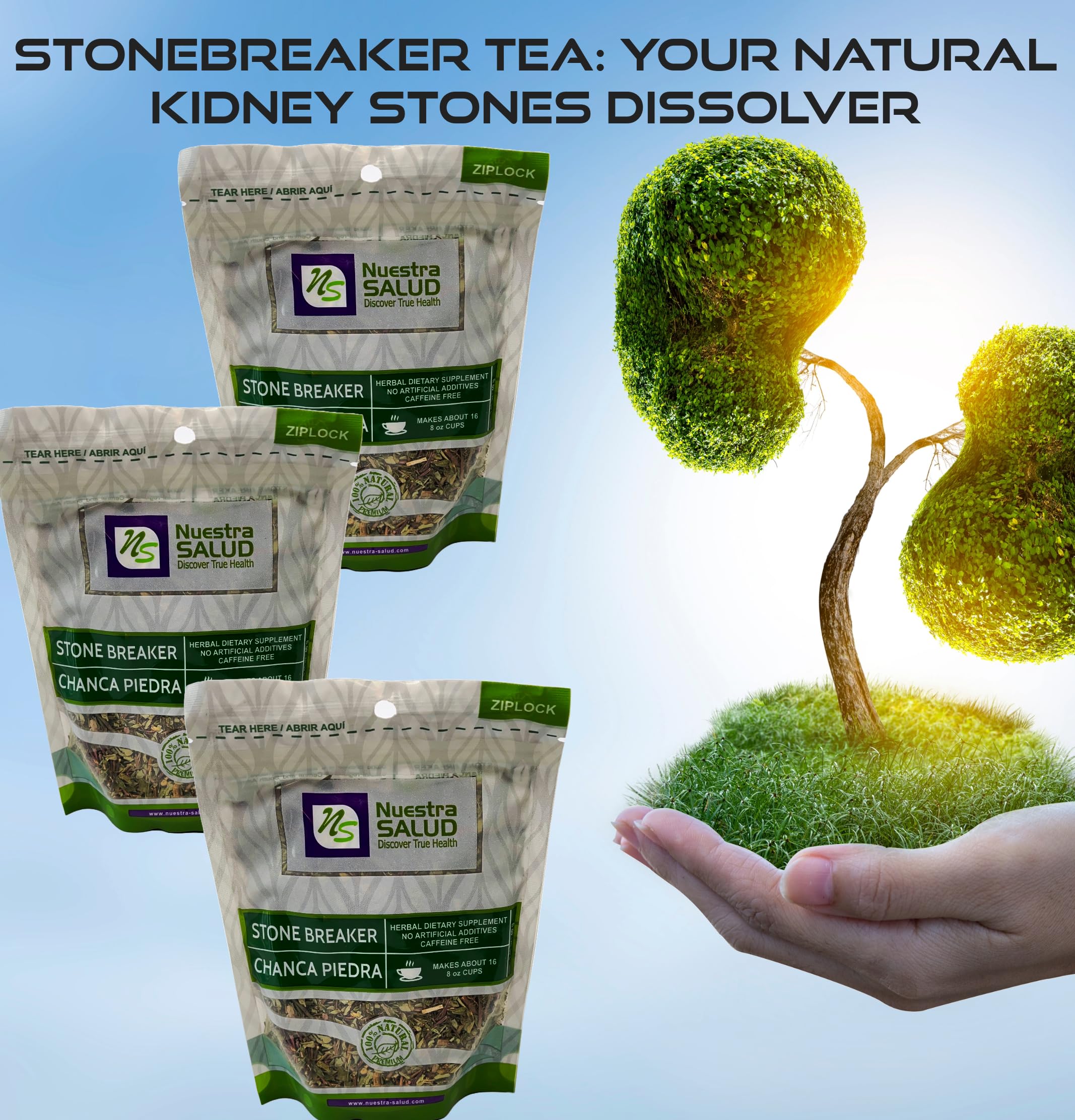 Chanca Piedra Tea - Stone Breaker Herbal Tea for Kidney & Gallbladder Support (Pack of 3) | Natural Detox & Urinary Tract Health | Perfect for Daily Wellness Routine