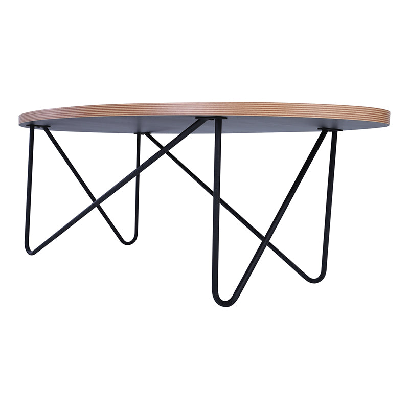 NARESH Oval Black Coffee Table - Modern Living Room Centerpiece for Home Decor & Small Space Furniture