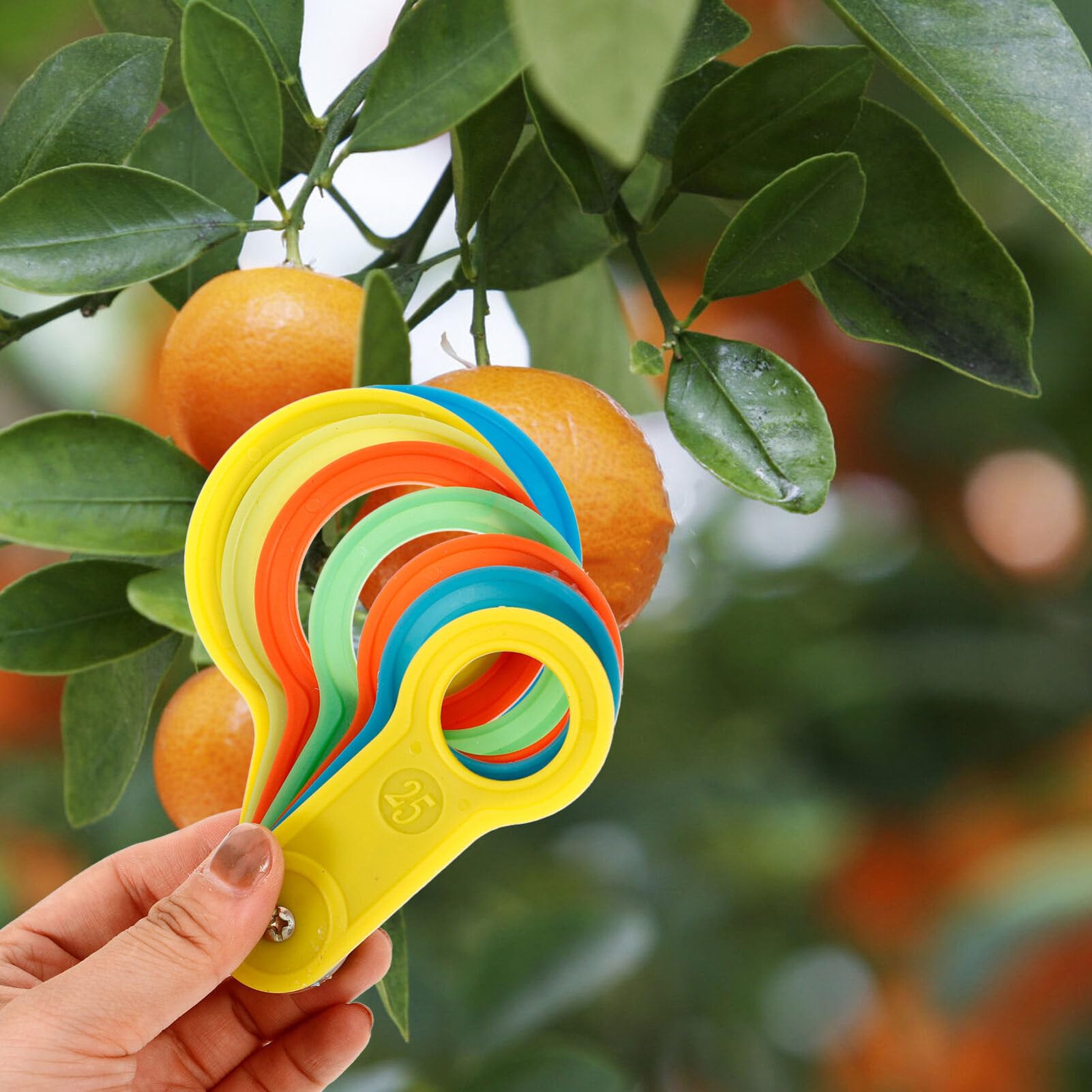 2 Sets Plastic Fruit Ring Sizer Measuring Tool (25-60mm & 60-110mm) - Diameter Measurement Gauge for Oranges, Peaches, Apples - Perfect for Farmers Market, Grocery Stores & Home Kitchen Use