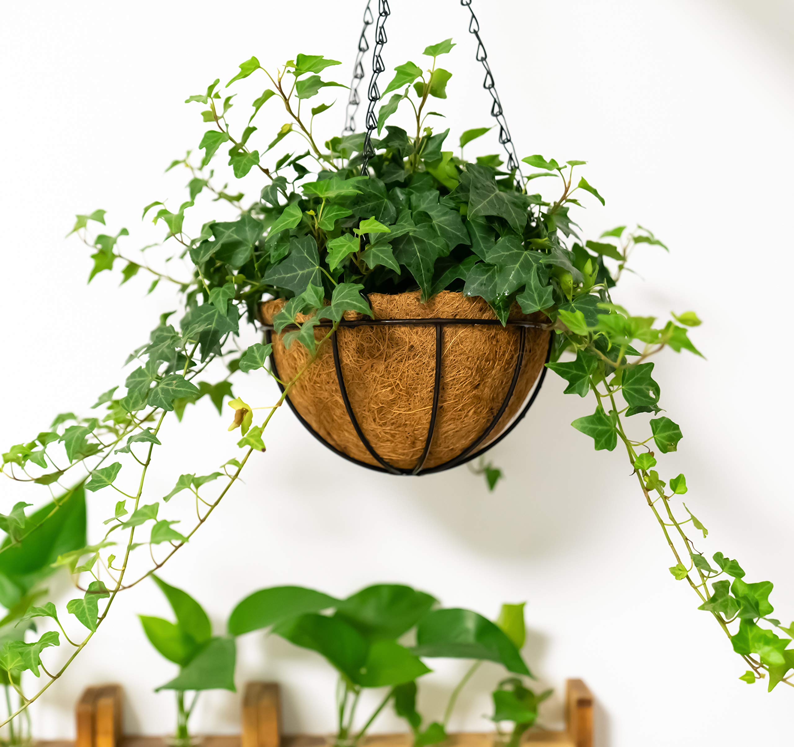 Kingbuy 12 Inch Metal Hanging Basket with Coconut Liner - Wire Planter for Indoor/Outdoor Plants, Flowers & Herbs - Perfect for Patio, Garden, Balcony & Home Decor