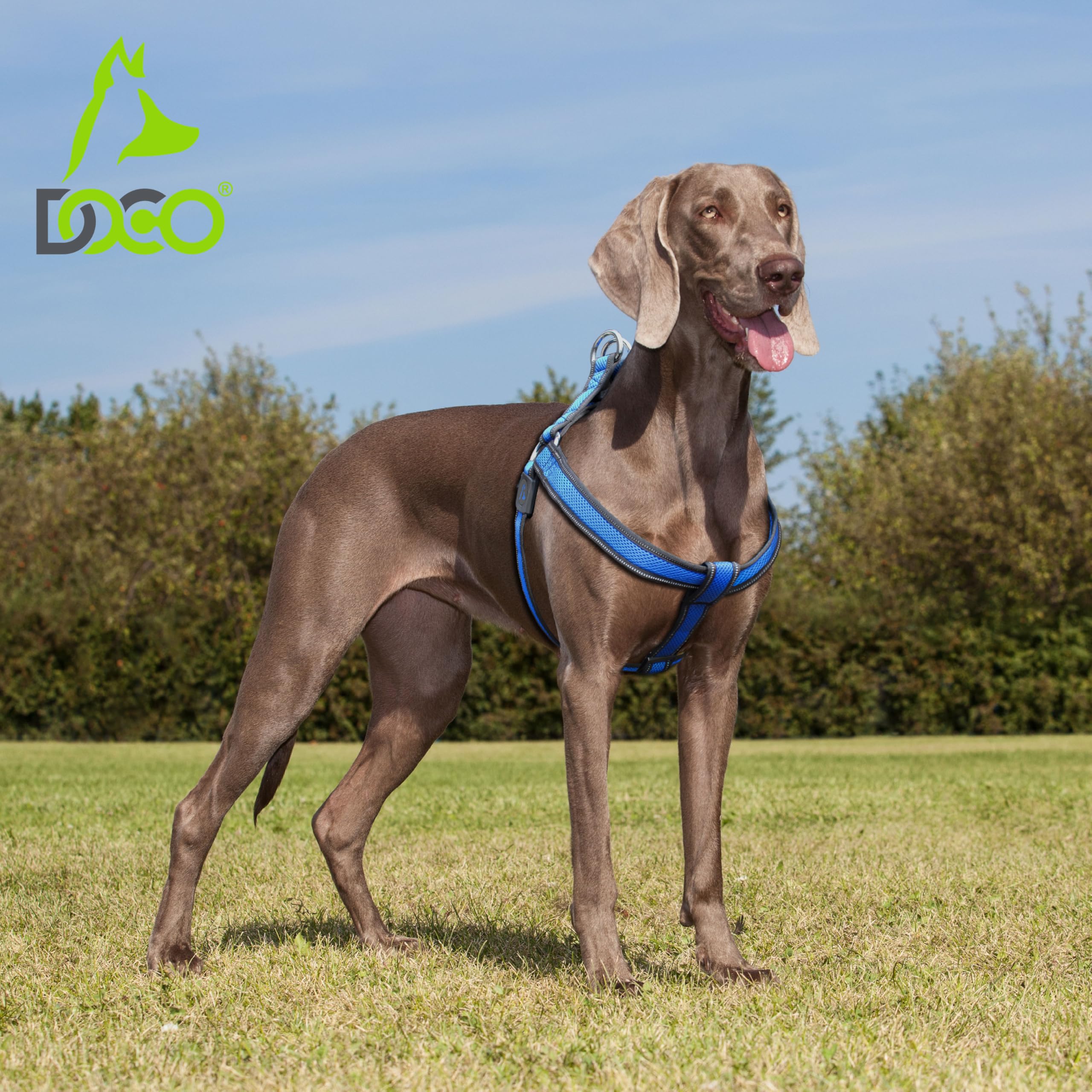 Athletica Air Mesh Step-in Dog Harness - Lightweight & Breathable Pet Vest for Small to Medium Dogs - Perfect for Walking, Running & Outdoor Adventures