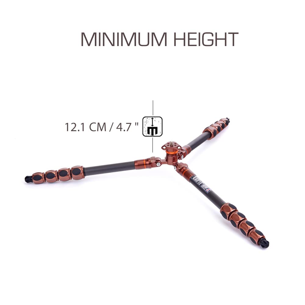 3 Legged Thing Albert 2.0 Carbon Fiber Travel Tripod - Lightweight Compact Tripod System with 70