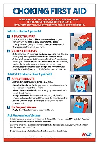 Heimlich Maneuver Poster - First Aid Choking Rescue Guide for Infants, Children & Adults - 12