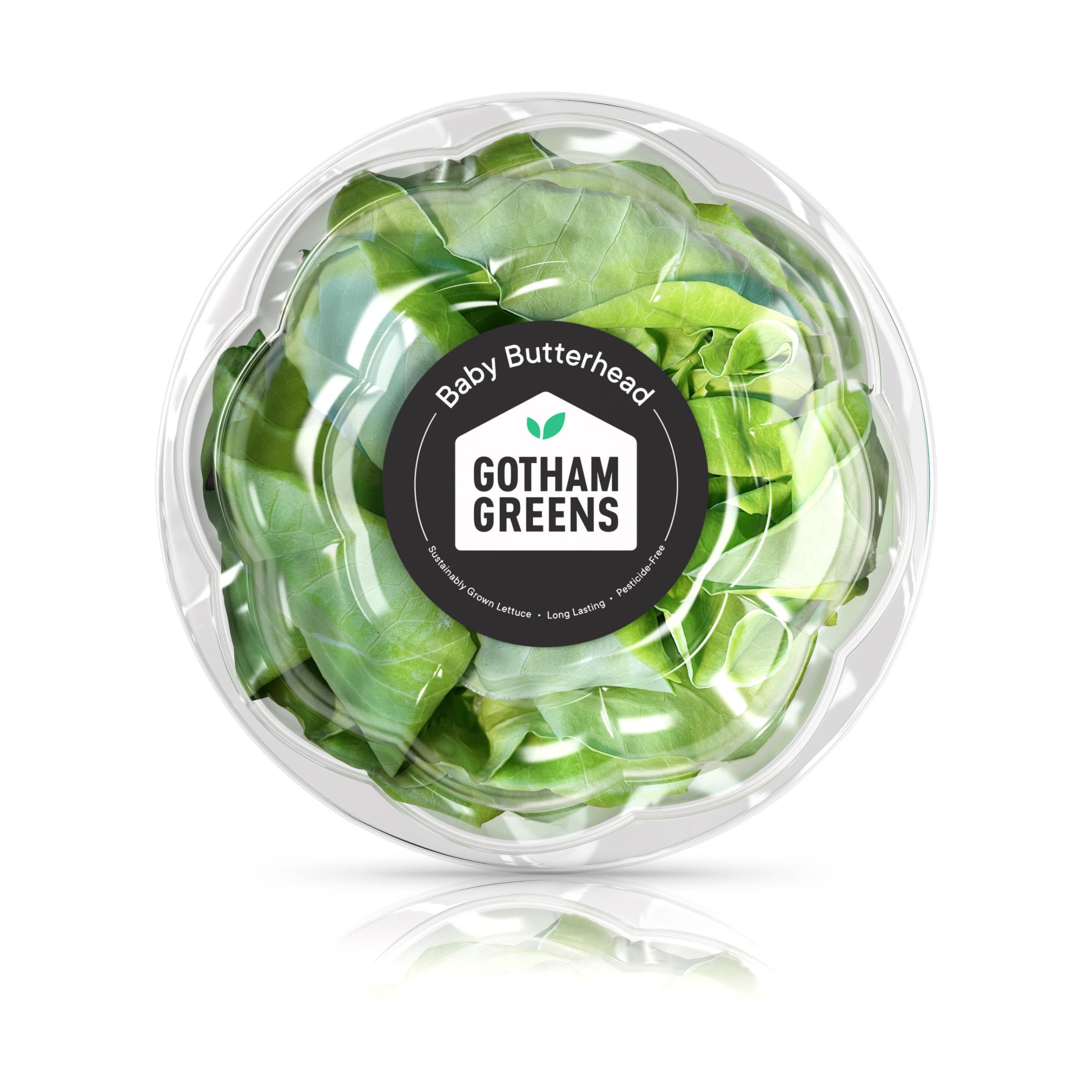 Gotham Greens Organic Baby Butterhead Lettuce - Fresh, Crisp & Nutrient-Rich Salad Greens for Healthy Eating | Perfect for Salads, Sandwiches & Gourmet Dishes