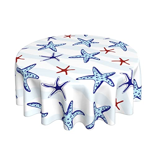 Navy Blue Starfish