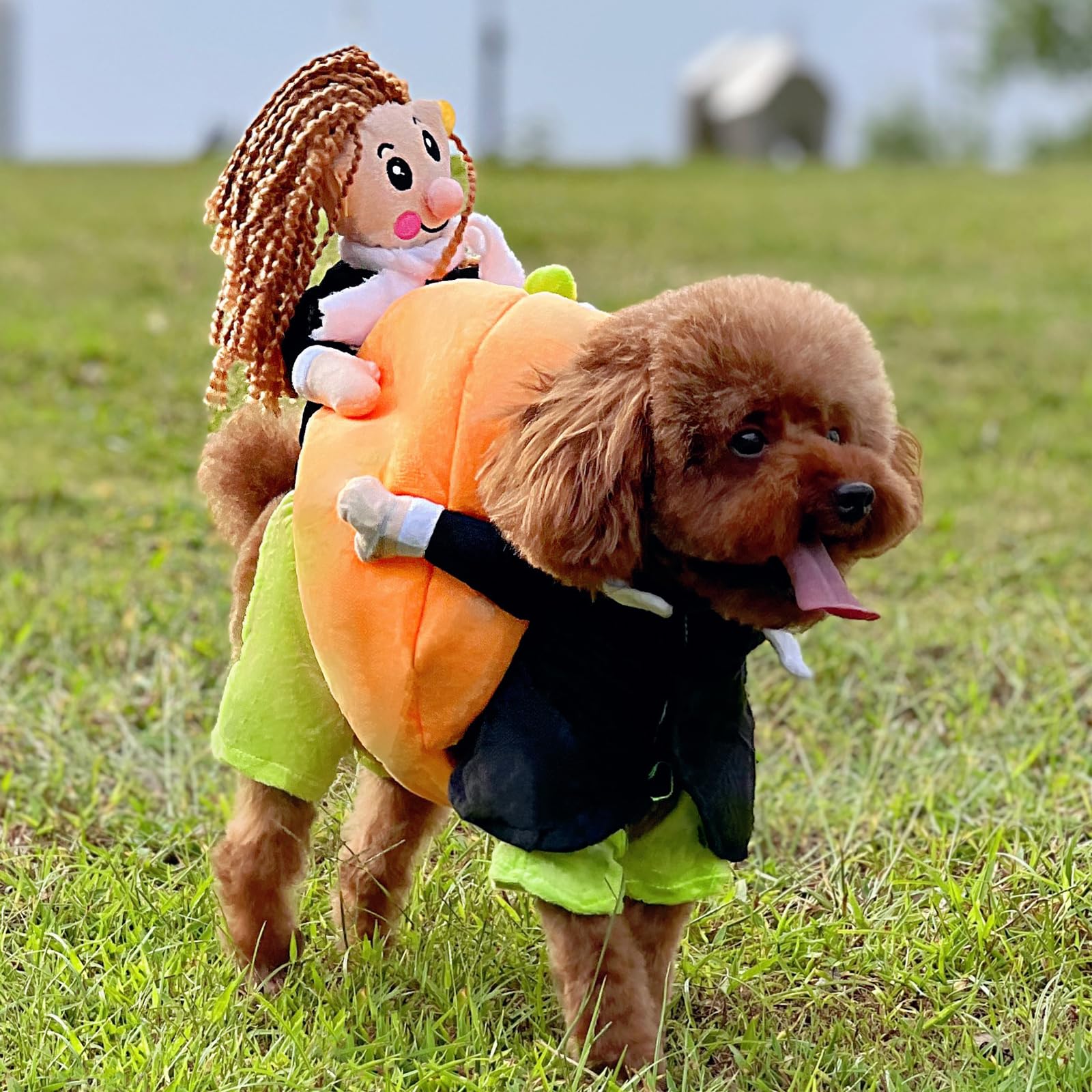BKDRL Pumpkin Dog Costume - Funny Halloween Pet Outfit for Small Dogs & Cats - Orange Medium Size - Perfect for Halloween Parties & Pet Photo Shoots