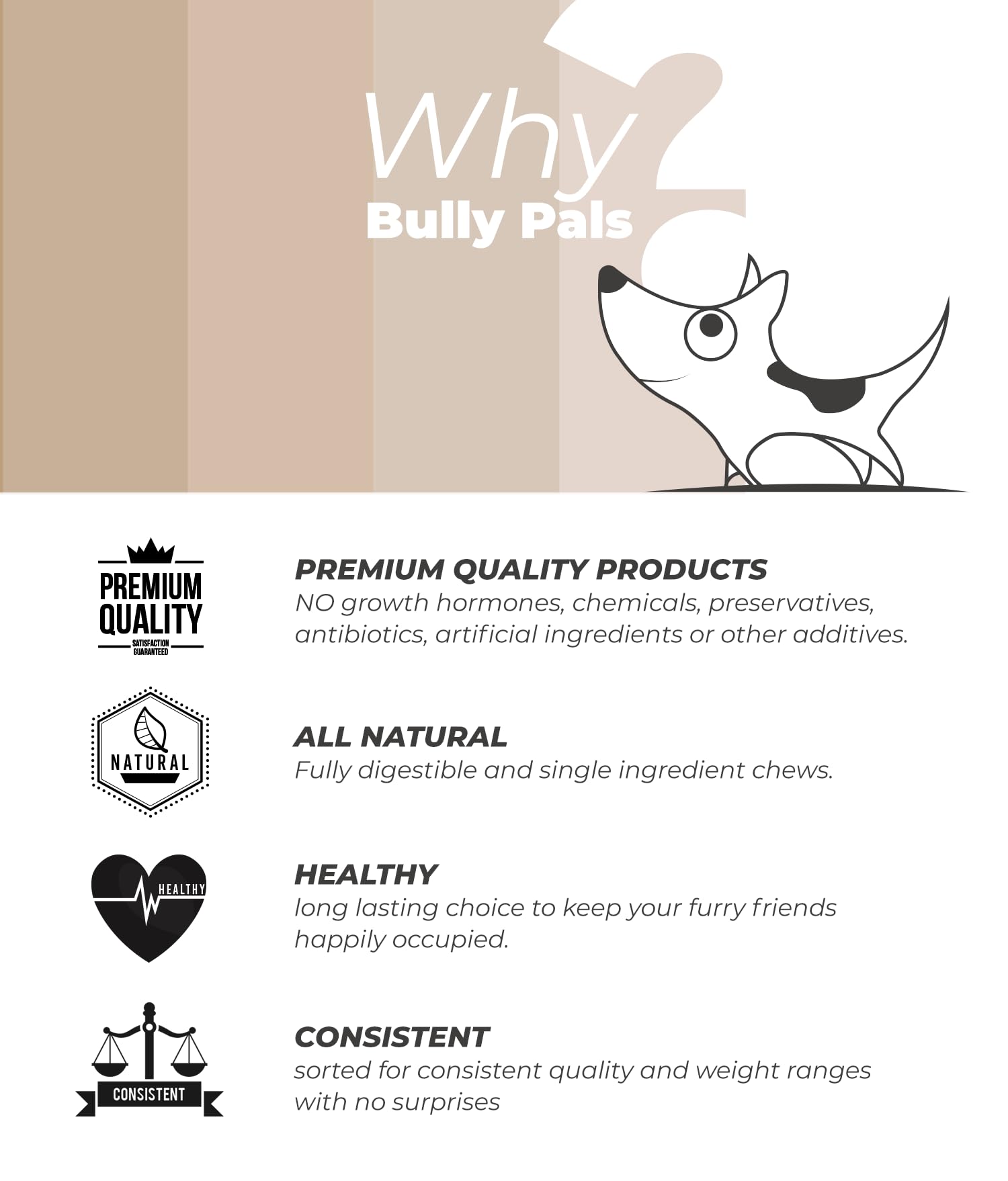 Premium 6-Inch Jumbo Bully Sticks for Dogs - 6 Pack | All-Natural, Single-Ingredient, Long-Lasting Dehydrated Dog Treats & Dental Chews - Perfect for Aggressive Chewers, Training Rewards, and Oral Health Care