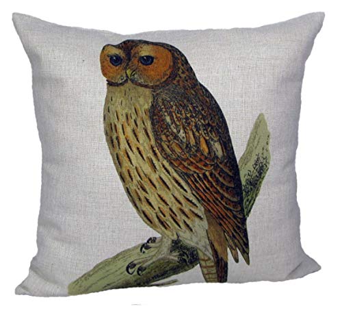 Vintage Owl Decorative Throw Pillow Cover 18 Inch - Antique Style Spring Floral Design for Living Room, Bedroom & Home Decor