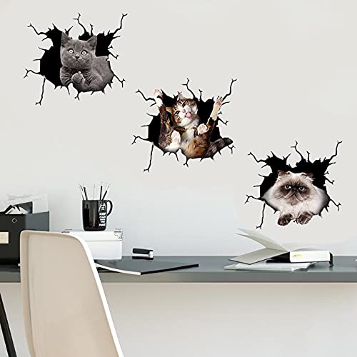 Maine Coon Cat Car Decals Pack of 2 - 10