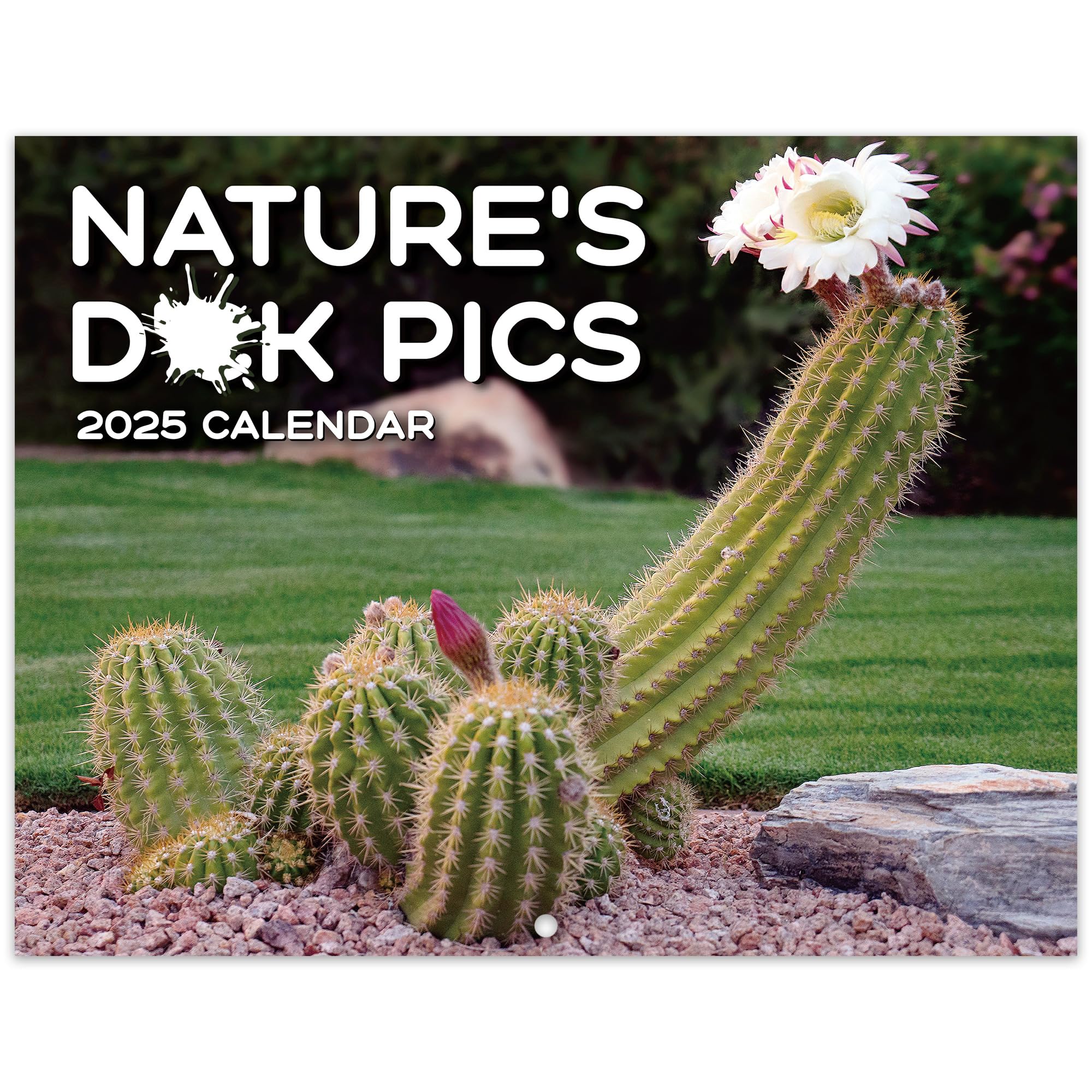 2025 Funny Wall Calendar - Thick Paper Jan-Dec 2025, 11
