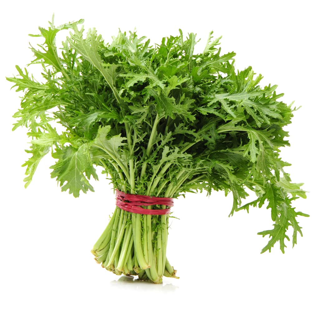 Heirloom Mizuna Japanese Mustard Greens Seeds - 900 Non-GMO Seeds for Home Gardening, Salads & Stir Fry | Premium Asian Vegetable Seeds for Indoor & Outdoor Planting