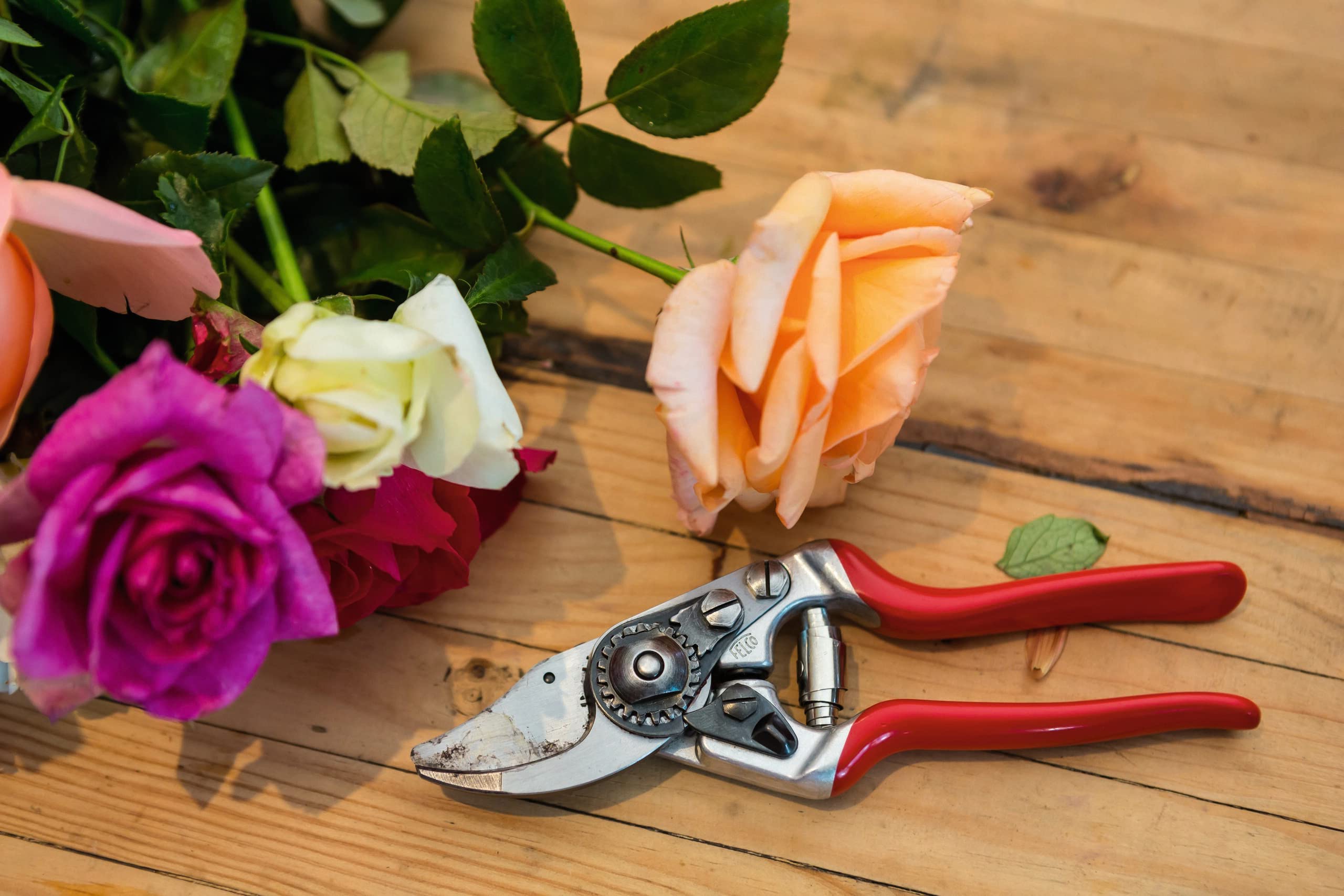 FELCO F-14 Professional Pruning Shears - Swiss Made High-Performance Garden Shears with Steel Blade for Precise Cutting (Red & Silver) - Ideal for Trimming, Pruning, and Shaping Plants, Flowers, and Small Branches