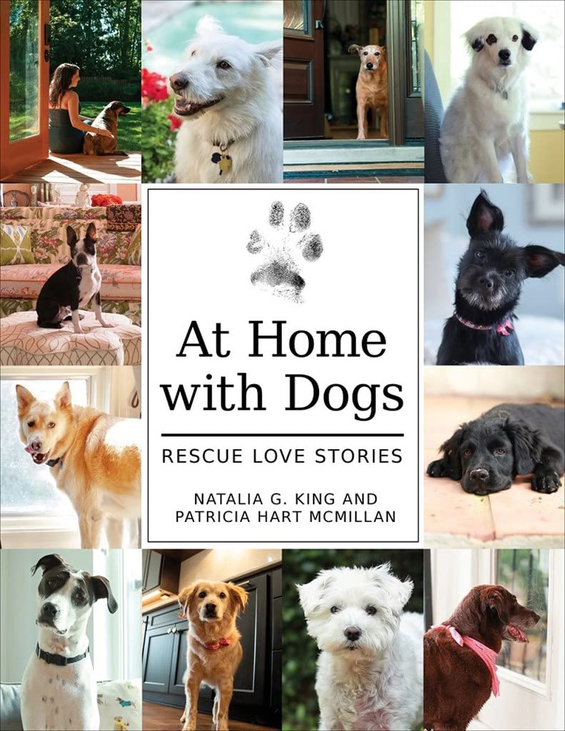 Heartwarming Dog Rescue Stories - Inspiring True Tales of Love & Adoption | Perfect for Pet Lovers & Animal Rescue Advocates | Great Gift for Dog Owners