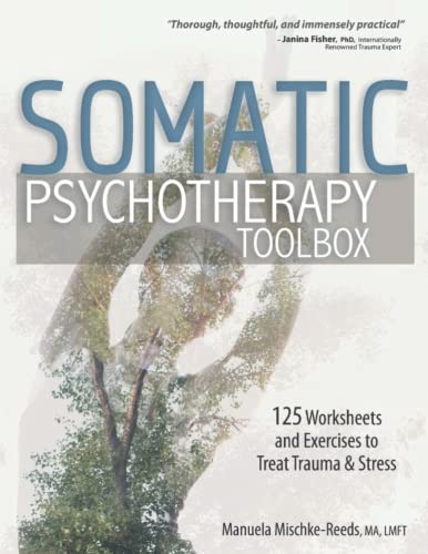 Somatic Psychotherapy Toolbox: 125 Trauma & Stress Relief Worksheets & Exercises for Therapists - Paperback by Manuela Mischke | Ideal for Counseling Sessions & Self-Help Practices