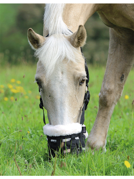 Horse Grazing Muzzle - Breathable Comfort Grazing Control for Pasture & Turnout - Prevent Overeating & Colic - Ideal for Ponies, Mini Horses & Full-Sized Horses During Grazing Time