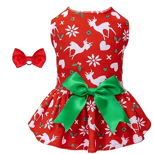 A07-Christmas holly&deer