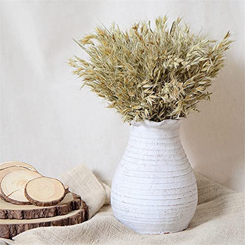 150pcs Natural Dried Oat Ear Bouquets - Rustic Dried Flower Arrangements for Wedding Centerpieces, Home Decor & Farmhouse Style Decorations