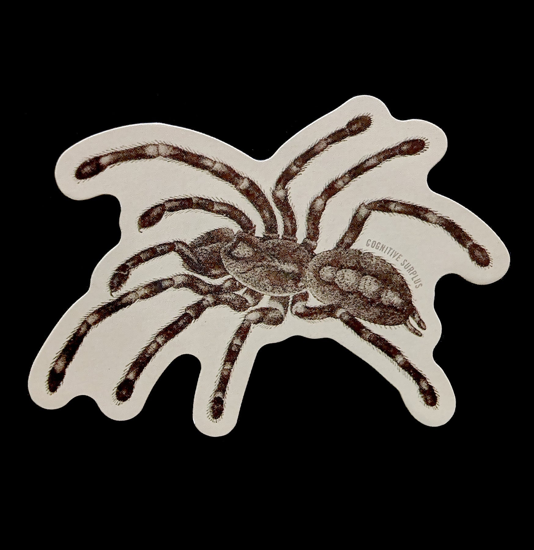Realistic Tarantula Spider Sticker - Waterproof Vinyl Decal for Laptops, Cars, Windows - Perfect for Halloween Decor & Prank Gifts