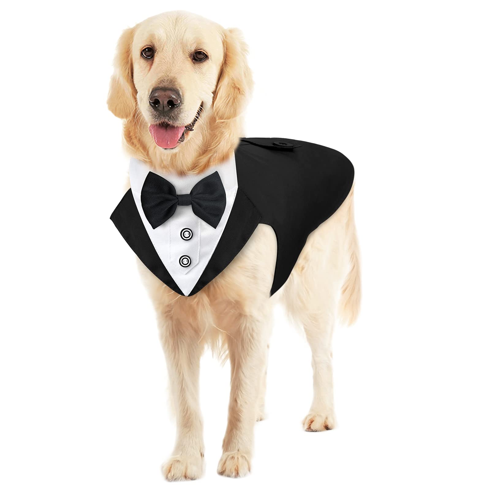 Malier Formal Dog Tuxedo & Bandana Suit Set - Stylish Wedding Costume with Collar for Small, Medium & Large Dogs | Perfect for Weddings, Parties & Special Occasions